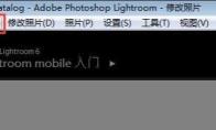Lightroom怎么设置自动放弃1:1预览