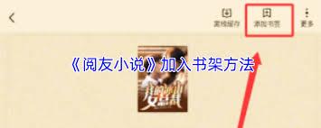阅友小说如何加入书架