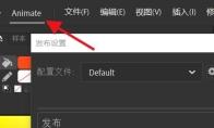 Animate怎么启用JPEG解决