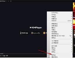 Kmplayer如何更新