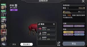 荒原曙光骑野猪的方法