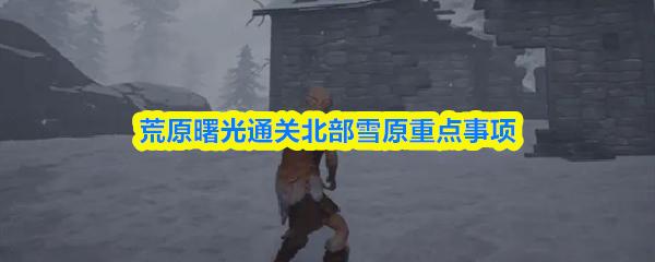 荒原曙光通关北部雪原重点事项
