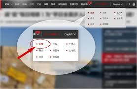 如何通过央视影音看直播节目