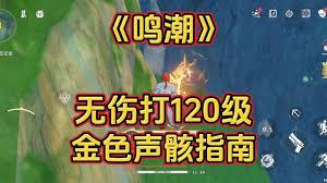鸣潮哀恸谷无音区位置在哪