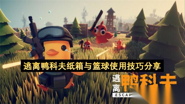 逃离鸭科夫纸箱与篮球使用技巧推荐