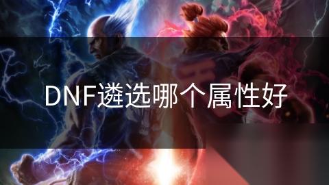 DNF遴选哪个属性好
