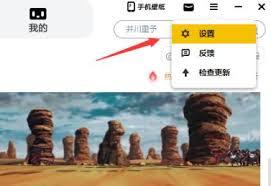 元气桌面怎么设置开机自动启动元气壁纸