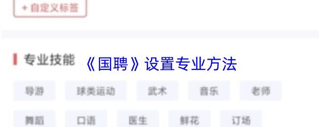 国聘 设置专业方法