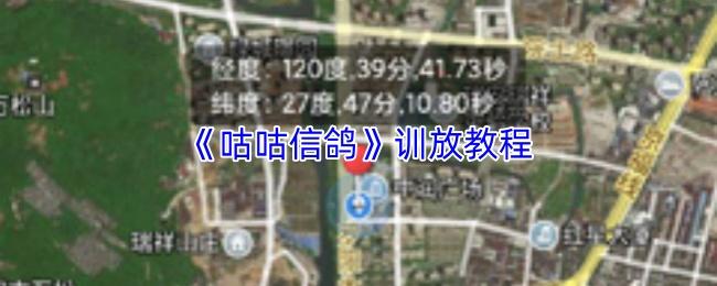 咕咕信鸽 训放教程