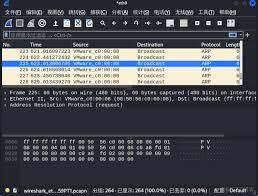 wireshark怎么开启混杂模式