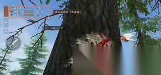 失控进化攻略有什么