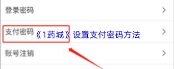 1药城支付密码如何设置