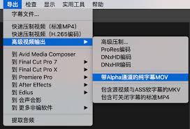 arctime如何设置字幕输出路径