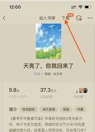番茄小说如何下载小说