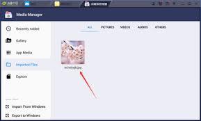蓝叠模拟器怎么导入电脑图片