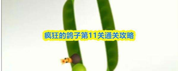 疯狂的鸽子第11关通关攻略