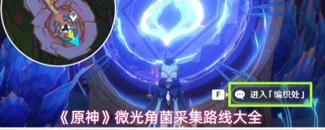 原神 微光角菌采集路线大全