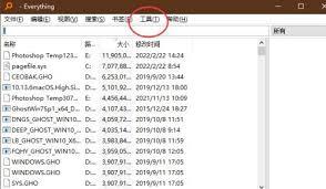 Everything如何开启显示托盘图标