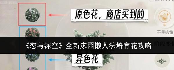 恋与深空 全新家园懒人法培育花攻略