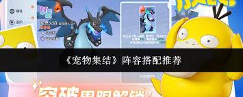 宠物集结如何搭配阵容