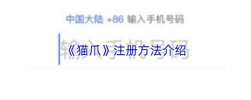 猫爪app如何注册