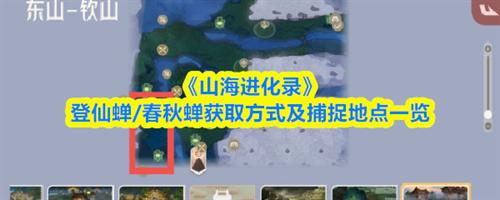 山海进化录登仙蝉/春秋蝉在哪抓 山海进化录登仙蝉/春秋蝉获取方式及捕捉地点介绍