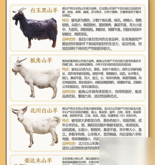 探寻北加尔羊族特点的游戏之旅 发现北加尔羊族优缺点的冒险历程