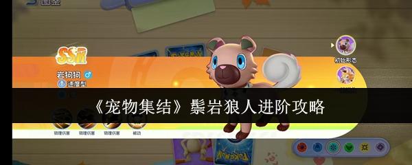 宠物集结 鬃岩狼人进阶攻略