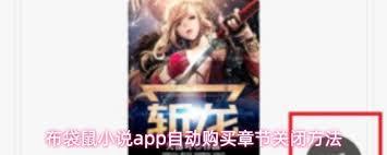 布袋鼠小说app如何关闭自动购买
