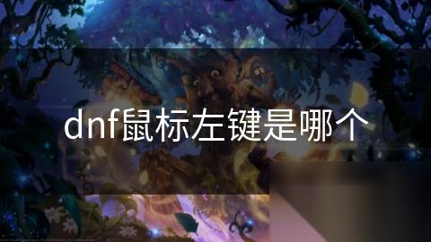 dnf鼠标左键是哪个