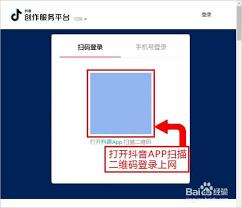 抖音网页版记录功能是什么