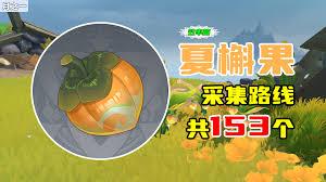 原神夏槲果如何获取