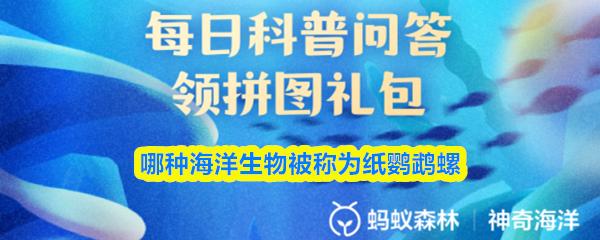 哪种海洋生物被称为纸鹦鹉螺