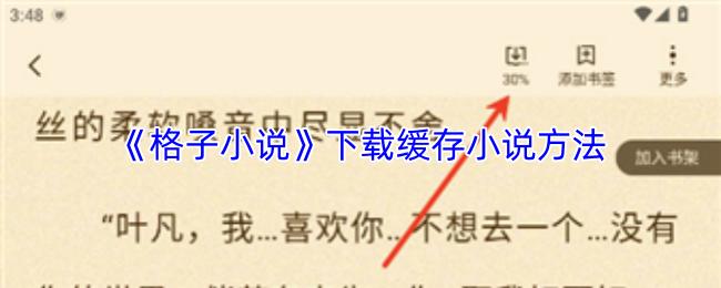 格子小说 下载缓存小说方法