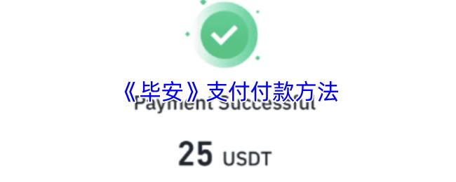 毕安 支付付款方法
