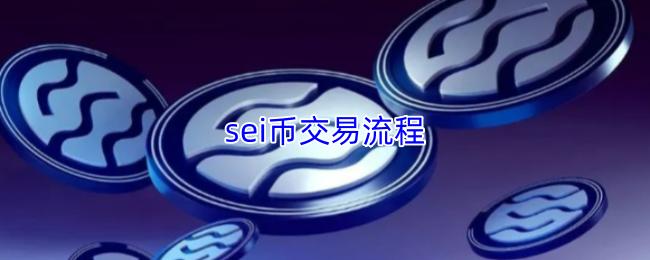 sei币交易流程