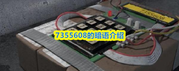 7355608的暗语介绍