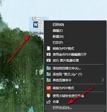 Word怎么设置每版打印多页