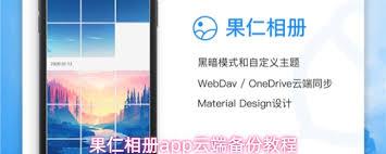 果仁相册app如何备份到云端