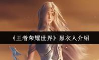 王者荣耀世界 黑衣人介绍
