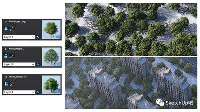 sketchup如何在道路种树