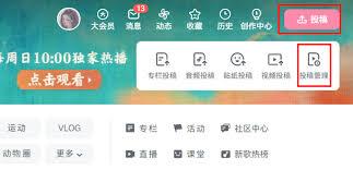 哔哩哔哩电脑版如何添加水印