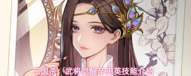 三国杀：武将觉醒辛宪英技能介绍