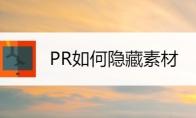 pr2020怎么隐藏素材