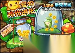 洛克王国世界犀角鸟怎么进化