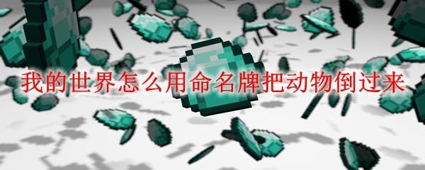 我的世界怎么用命名牌把动物倒过来