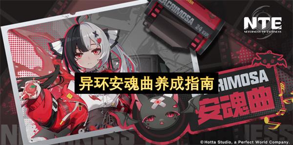 异环安魂曲养成指南