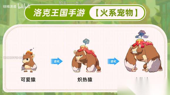 洛克王国世界前期开荒选什么宠物
