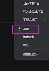 迅雷11如何接管全部浏览器