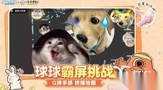 2015休闲网游排行榜 流行的休闲游戏汇总